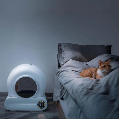 LumiPurr