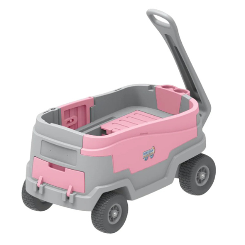 Wagonza