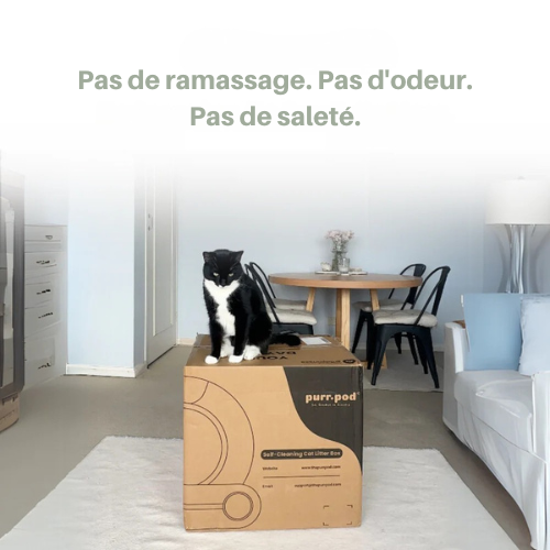 LumiPurr