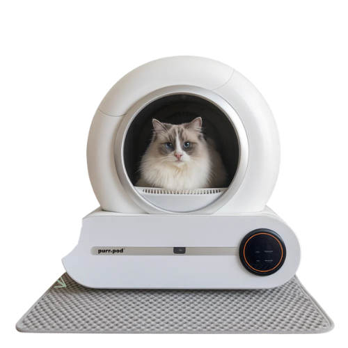 LumiPurr