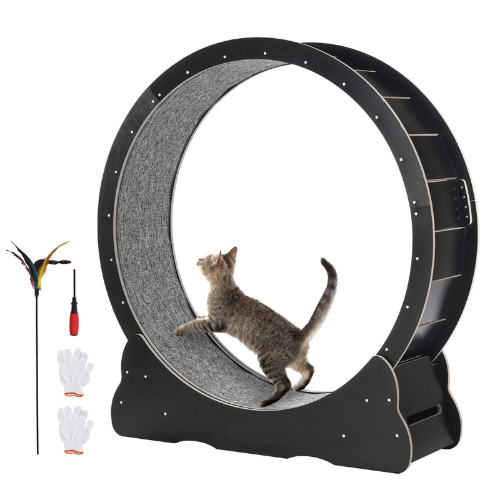 Felineer
