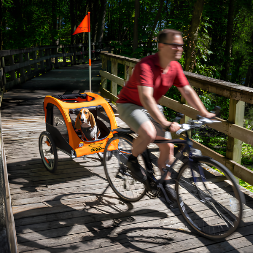 Wagtrek
