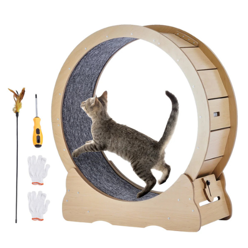 Felineer