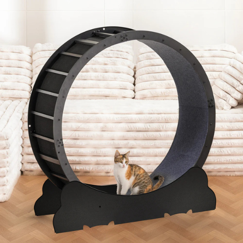 Felineer