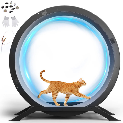 Felineer